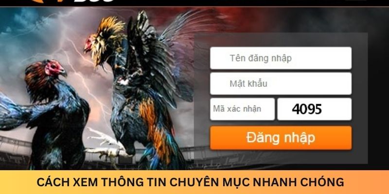 Cách xem thông tin chuyên mục nhanh chóng nhất