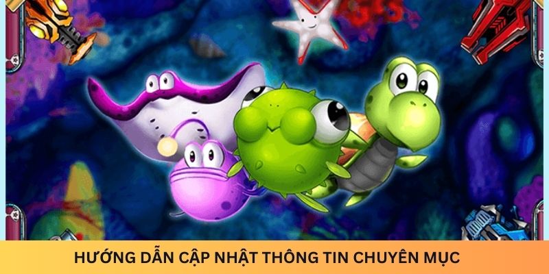 Hướng dẫn cập nhật thông tin chuyên mục nhanh chóng