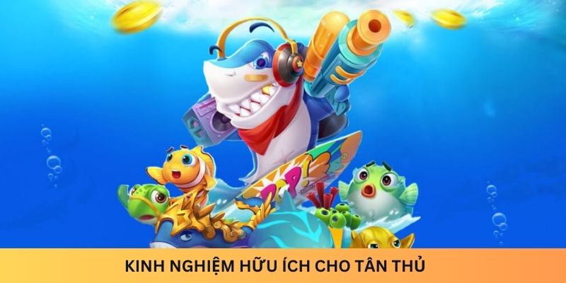 Kinh nghiệm hữu ích cho tân thủ 