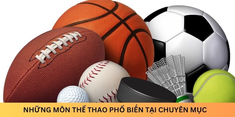 Những môn thể thao phổ biến tại chuyên mục