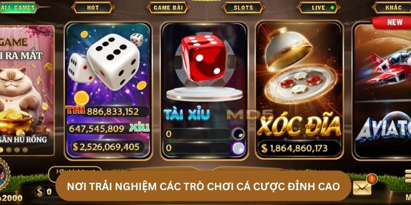 Hit Club - nơi trải nghiệm các trò chơi cá cược đỉnh cao