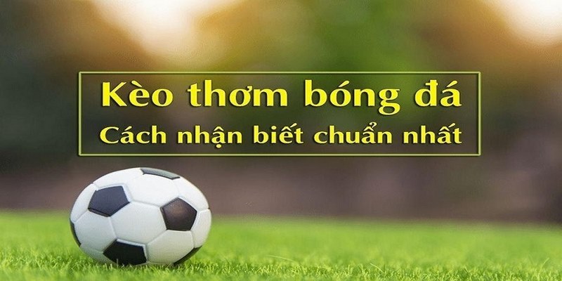 Phân tích kèo thơm 