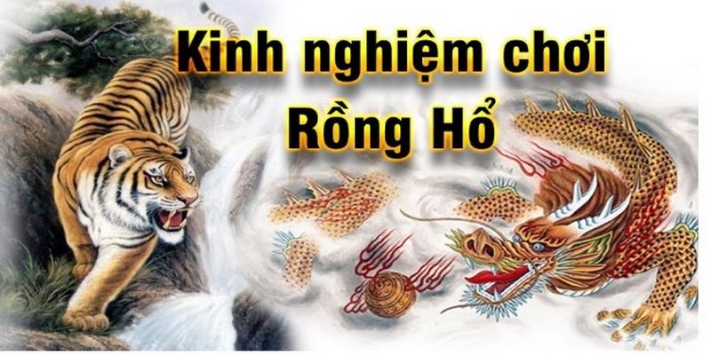 Chiến thuật cược 1-3-2-4