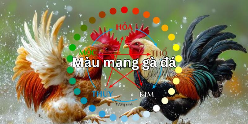 Mối quan hệ giữa các màu mạng đá gà
