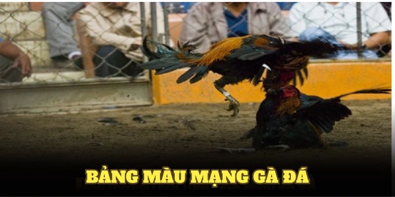 Màu mạng đá gà là gì?