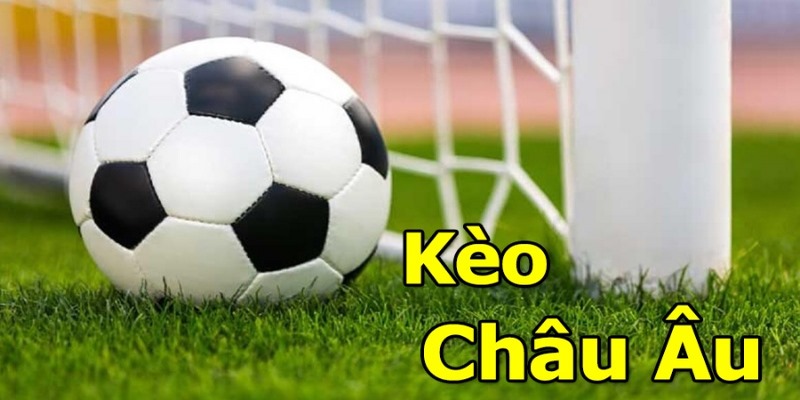 Đặt cược theo diễn biến của thị trường