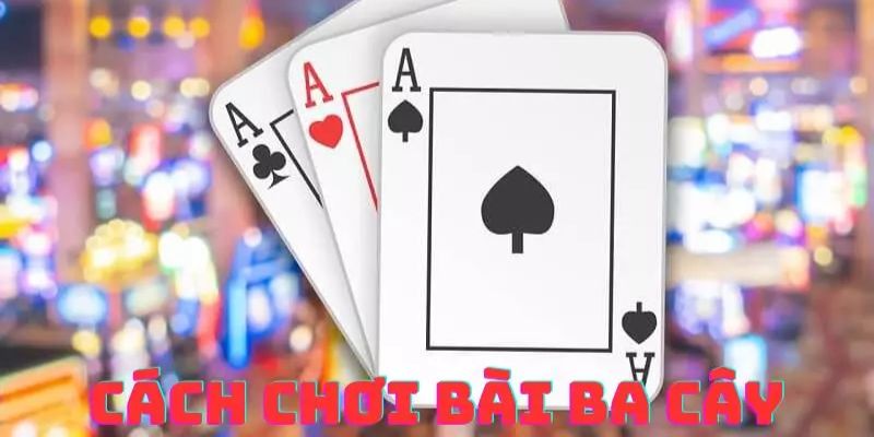 Khám Phá Cách Chơi 3 Cây Đơn Giản Cho Người Mới Bắt Đầu