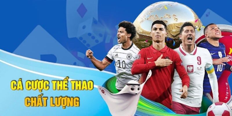 Giới thiệu về cá cược thể thao được yêu thích hiện nay