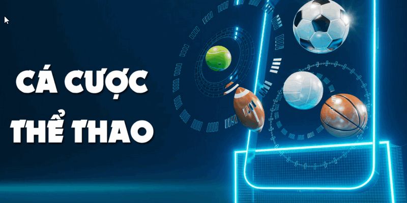 Giới Thiệu Cá Cược Thể Thao Và Cách Chơi Tại Hitclub
