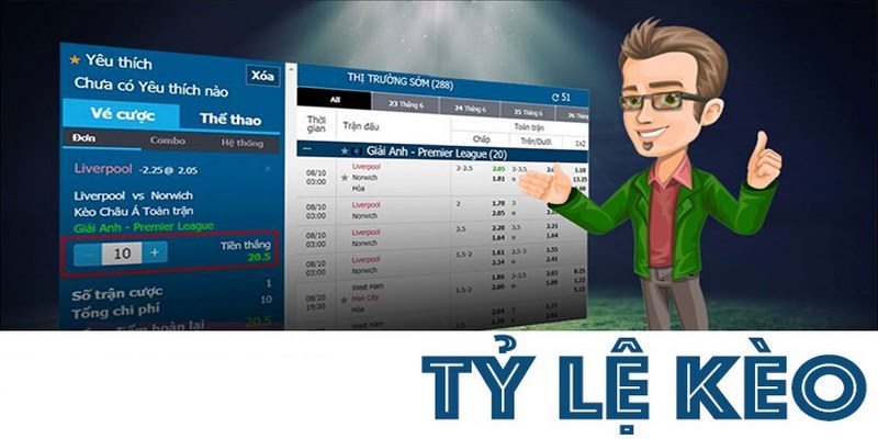 Web Cá Cược Bóng Đá Online - Top 5 Địa Chỉ Hot Nhất