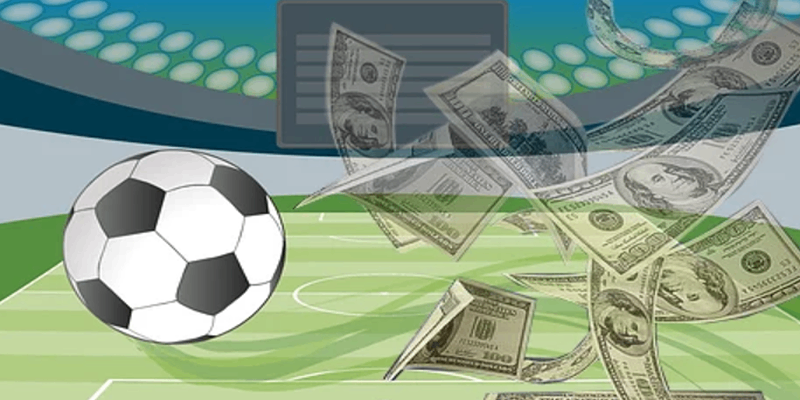 Thương hiệu cá cược bóng đá 8XBET