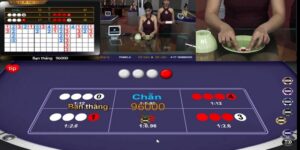 Bật Mí Phương Pháp Bắt Cầu Xóc Đĩa Cơm Gạo Chuẩn 90%