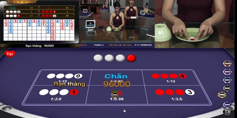 Bật Mí Phương Pháp Bắt Cầu Xóc Đĩa Cơm Gạo Chuẩn 90%