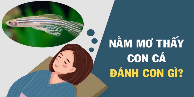 Chiêm bao thấy cá và những con số may mắn ứng nghiệm