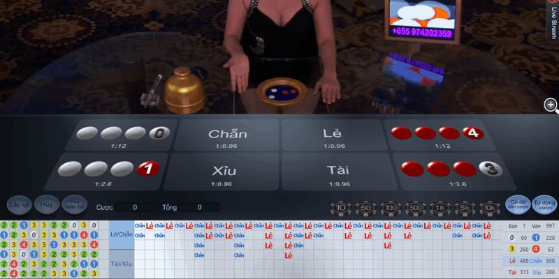 Những lưu ý quan trọng không thể bỏ qua khi chơi xóc đĩa