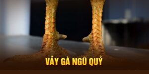 Nhận biết vảy gà ngũ quỷ