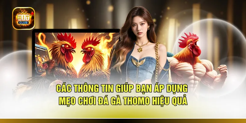 Các thông tin giúp bạn áp dụng mẹo chơi đá gà Thomo hiệu quả