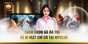 Cách Chọn Gà Đá Tre - 03 Bí Mật Chỉ Có Tại HITCLUB