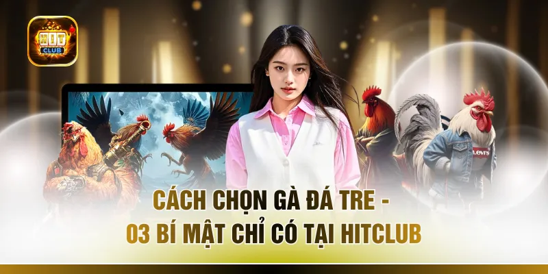 Cách Chọn Gà Đá Tre - 03 Bí Mật Chỉ Có Tại HITCLUB