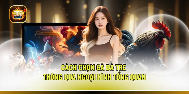Cách chọn gà đá tre thông qua ngoại hình tổng quan