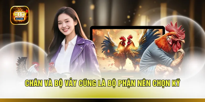 Chân và bộ vảy cũng là bộ phận nên chọn kỹ