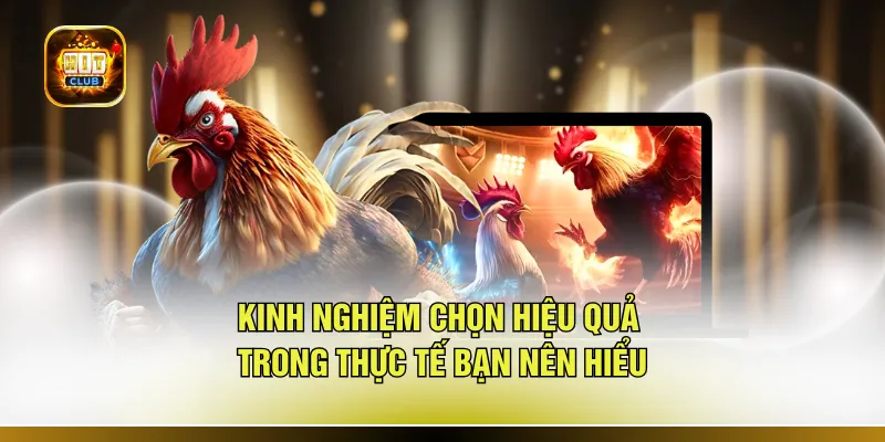 Kinh nghiệm chọn hiệu quả trong thực tế bạn nên hiểu