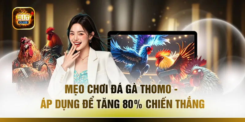 Mẹo Chơi Đá Gà Thomo - Áp Dụng Để Tăng 80% Chiến Thắng