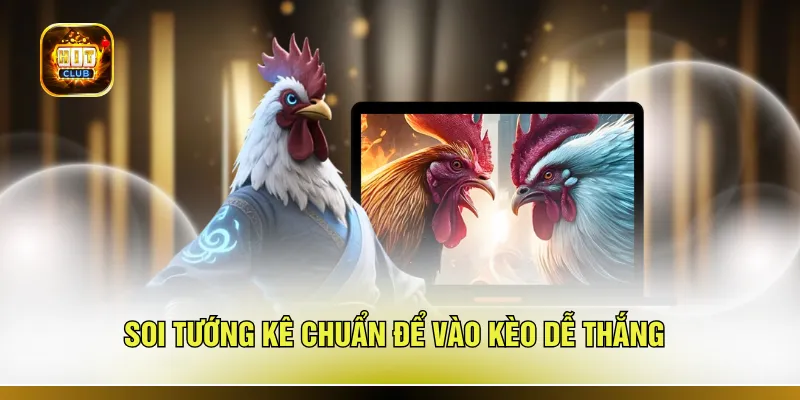 Soi tướng kê chuẩn để vào kèo dễ thắng