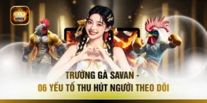Trường Gà Savan - 06 Yếu Tố Thu Hút Người Theo Dõi