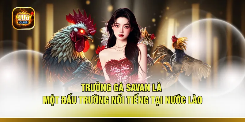 Trường gà Savan là một đấu trường nổi tiếng tại nước Lào