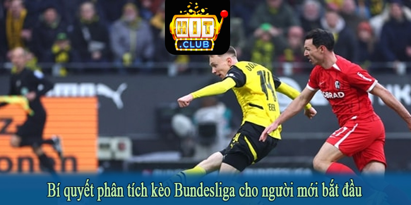 Bí quyết phân tích kèo Bundesliga cho người mới bắt đầu