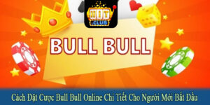 cách đặt cược bull bull online