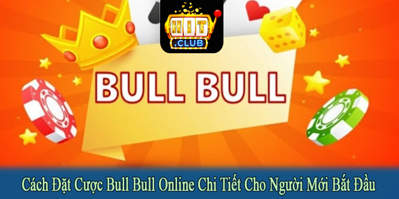 cách đặt cược bull bull online