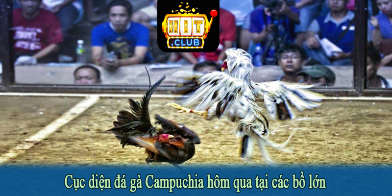 Cục diện đá gà Campuchia hôm qua tại các bồ lớn