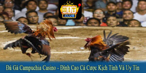 đá gà Campuchia Casino