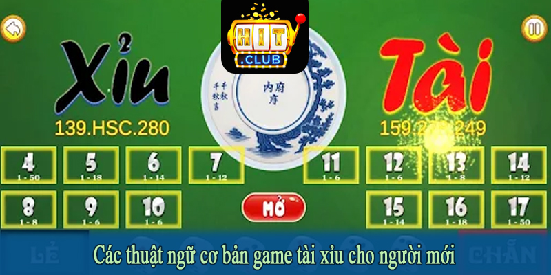 Các thuật ngữ cơ bản game tài xỉu cho người mới