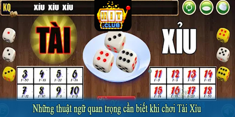 Những thuật ngữ quan trọng cần biết khi chơi Tài Xỉu